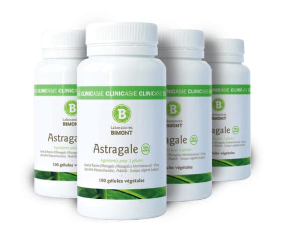 Astragale / Huang qi Cure 4 mois