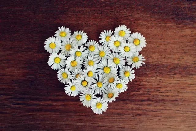 Les Secrets des Cœurs : Symbolique et Rituels Amoureux