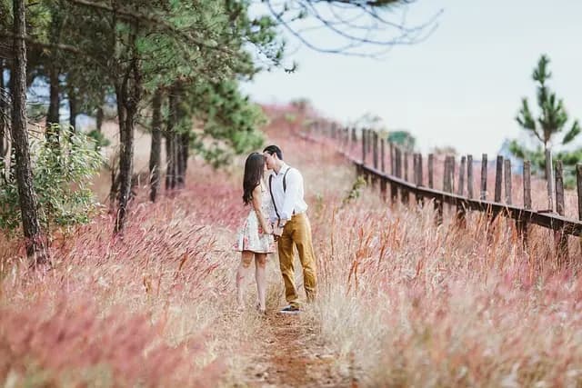 Comment les Gestes d'Amour Influencent les Relations
