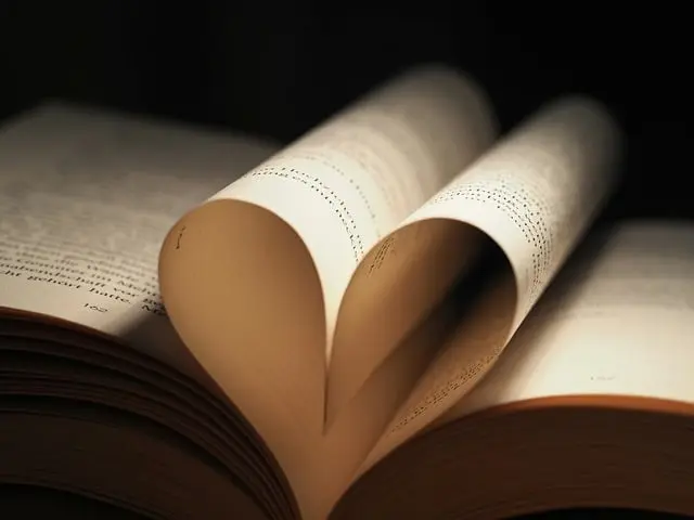Les 10 Cœurs Symboliques à Découvrir dans l'Amour