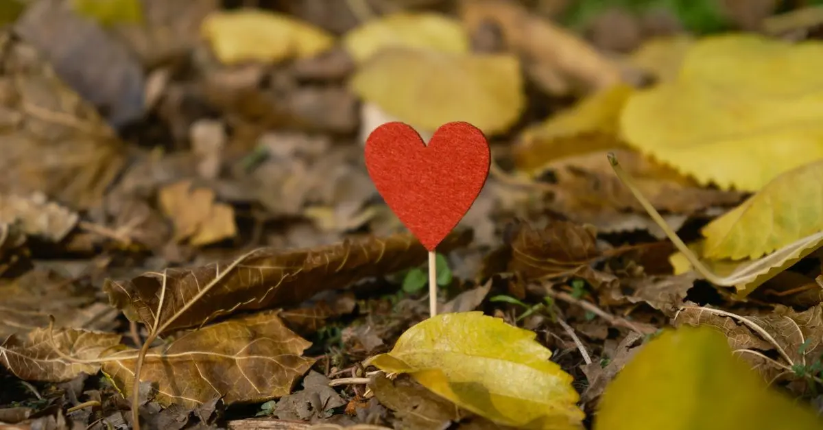 Les Cœurs dans la Poésie : Symboles d'Amour Éternels