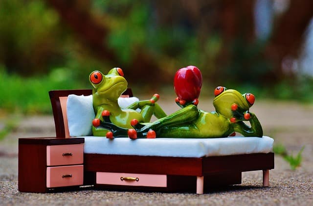 10 Rituels Amoureux pour Renforcer Votre Relation